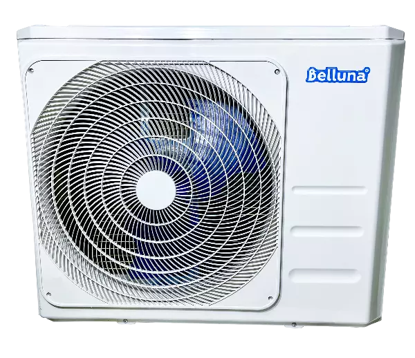Belluna U101